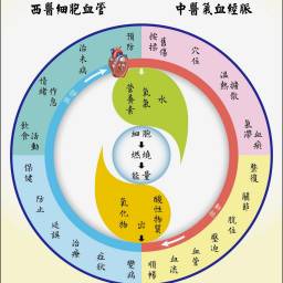 課程圖片 3